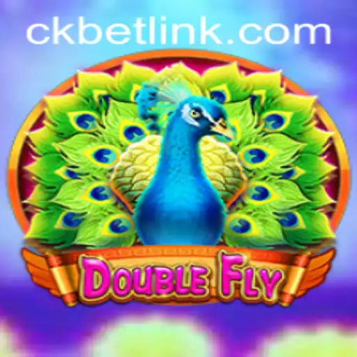 Explorando o Mundo de DoubleFly: As Regras e a Experiência de Jogo